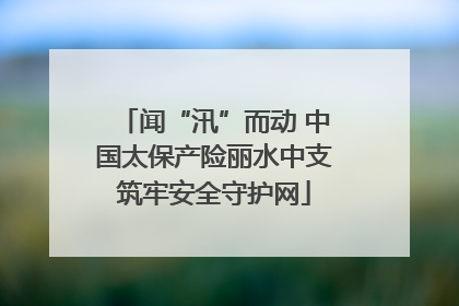 闻“汛”而动 中国太保产险丽水中支筑牢安全守护网