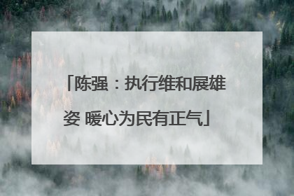 陈强：执行维和展雄姿 暖心为民有正气