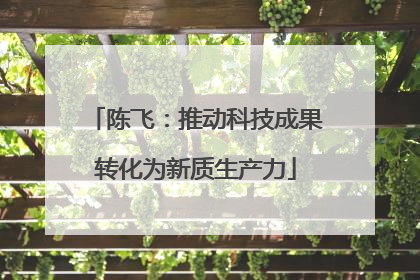 陈飞：推动科技成果转化为新质生产力