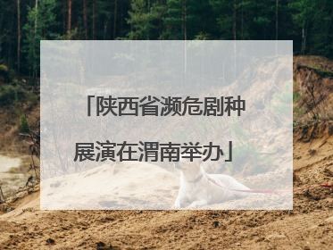 陕西省濒危剧种展演在渭南举办