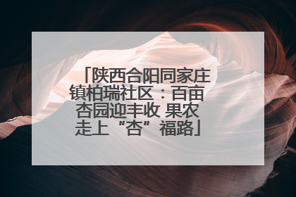 陕西合阳同家庄镇柏瑞社区：百亩杏园迎丰收 果农走上“杏”福路