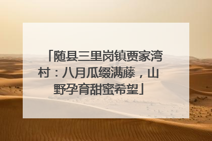 随县三里岗镇贾家湾村：八月瓜缀满藤，山野孕育甜蜜希望