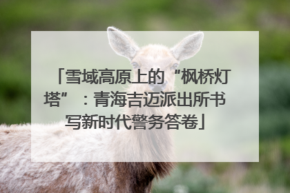 雪域高原上的“枫桥灯塔”：青海吉迈派出所书写新时代警务答卷