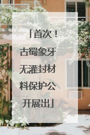 首次！古蜀象牙无灌封材料保护公开展出