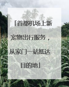 首都机场上新宠物出行服务，从家门一站抵达目的地