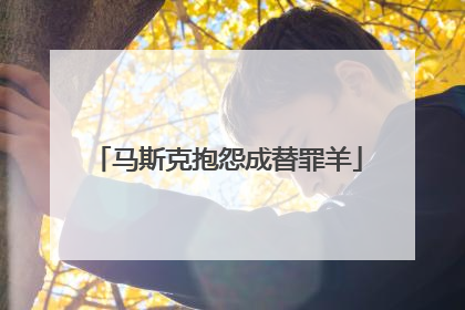 马斯克抱怨成替罪羊