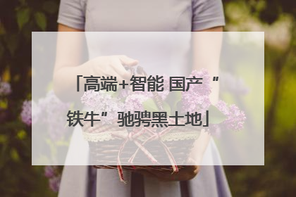 高端+智能 国产“铁牛”驰骋黑土地