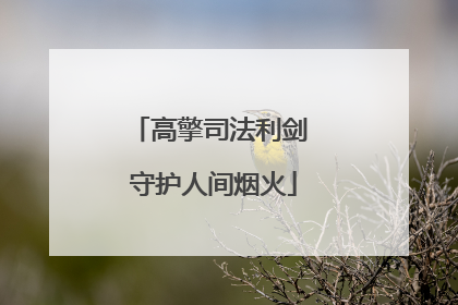 高擎司法利剑 守护人间烟火