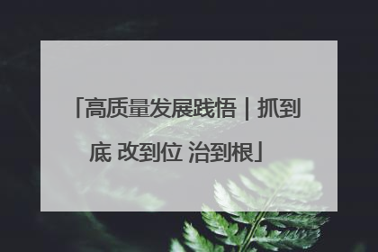 高质量发展践悟｜抓到底 改到位 治到根