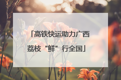 高铁快运助力广西荔枝“鲜”行全国