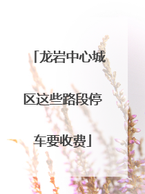 龙岩中心城区这些路段停车要收费