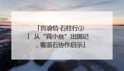 鲁渝情·石柱行② ︳从“莼小丝”出国记，看淄石协作启示
