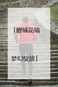鲤城花墙 梦幻绽放