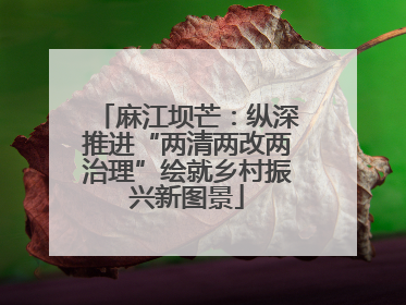 麻江坝芒：纵深推进“两清两改两治理”绘就乡村振兴新图景
