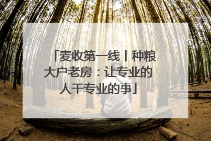 麦收第一线丨种粮大户老房：让专业的人干专业的事