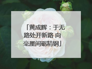 黄成辉：于无路处开新路 向毫厘间砺精钢