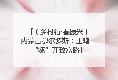 （乡村行·看振兴）内蒙古鄂尔多斯：土鸡“啄”开致富路