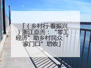 （乡村行·看振兴）浙江嘉善：“零工经济”助乡村民众“家门口”增收