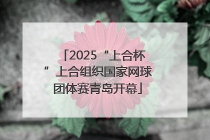2025“上合杯”上合组织国家网球团体赛青岛开幕