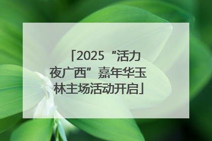 2025“活力夜广西”嘉年华玉林主场活动开启