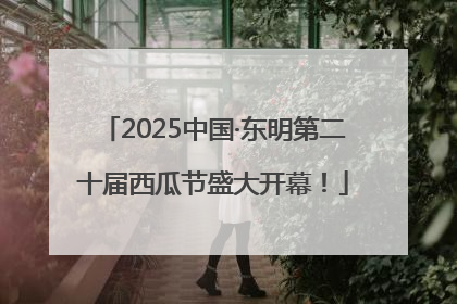 2025中国·东明第二十届西瓜节盛大开幕！