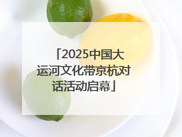 2025中国大运河文化带京杭对话活动启幕