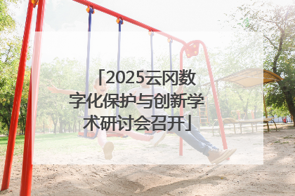 2025云冈数字化保护与创新学术研讨会召开