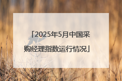 2025年5月中国采购经理指数运行情况