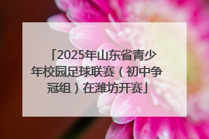 2025年山东省青少年校园足球联赛（初中争冠组）在潍坊开赛