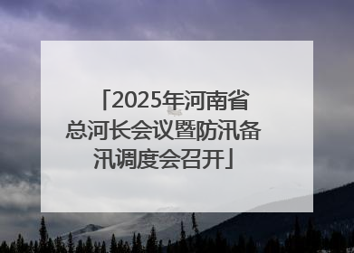 2025年河南省总河长会议暨防汛备汛调度会召开