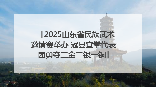 2025山东省民族武术邀请赛举办 冠县查拳代表团勇夺三金二银一铜
