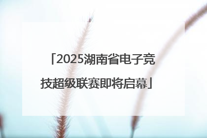 2025湖南省电子竞技超级联赛即将启幕