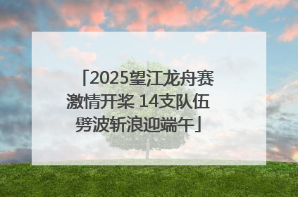 2025望江龙舟赛激情开桨 14支队伍劈波斩浪迎端午