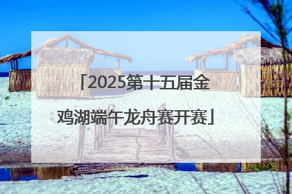 2025第十五届金鸡湖端午龙舟赛开赛