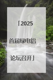 2025首届绿电铝论坛召开