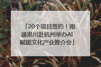 20个项目签约！南通崇川赴杭州举办AI赋能文化产业推介会