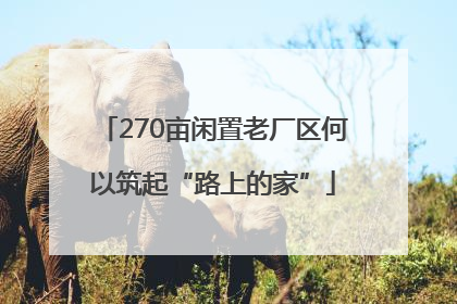 270亩闲置老厂区何以筑起“路上的家”