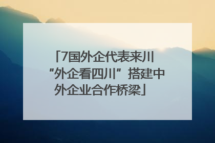 7国外企代表来川 “外企看四川”搭建中外企业合作桥梁