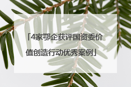4家鄂企获评国资委价值创造行动优秀案例