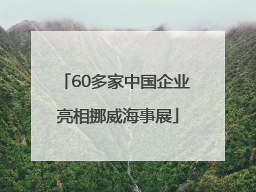 60多家中国企业亮相挪威海事展