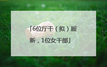 6位厅干（拟）履新，1位女干部