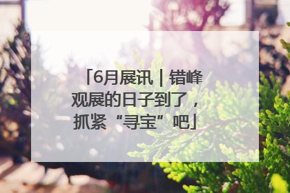 6月展讯｜错峰观展的日子到了，抓紧“寻宝”吧