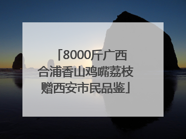 8000斤广西合浦香山鸡嘴荔枝赠西安市民品鉴