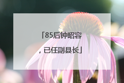 85后钟昭容，已任副县长
