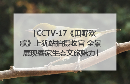 CCTV-17《田野欢歌》上犹站拍摄收官 全景展现客家生态文旅魅力