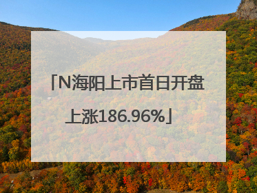 N海阳上市首日开盘上涨186.96%