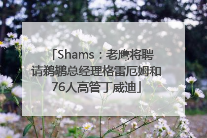 Shams:老鹰将聘请鹈鹕总经理格雷厄姆和76人高管丁威迪